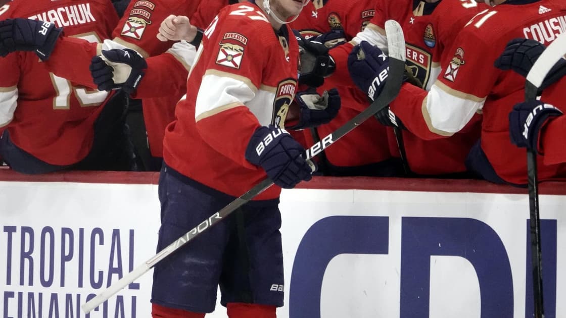 Florida panthers