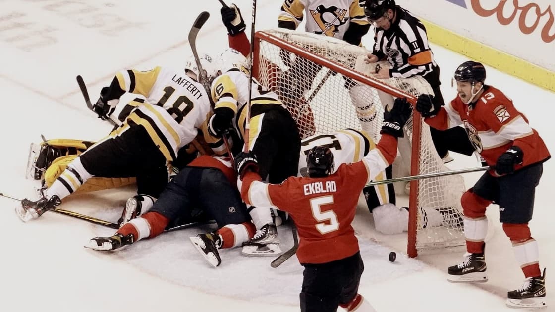Panthers penguins