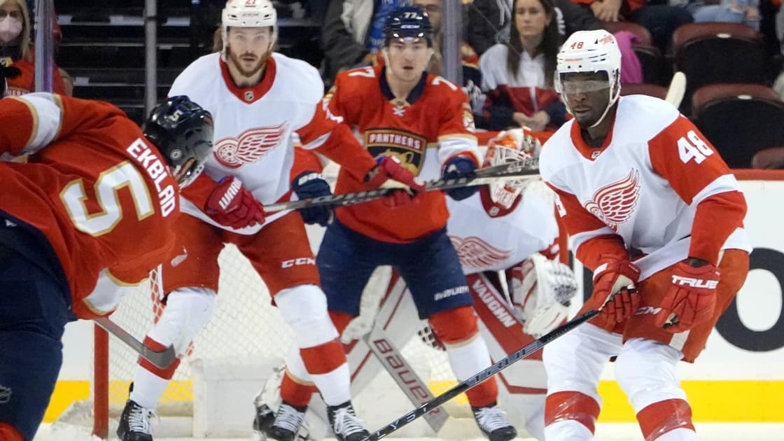 Florida panthers