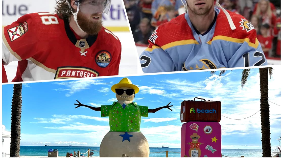 Florida panthers