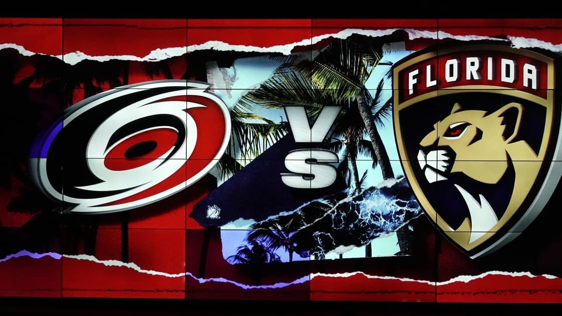 Florida panthers