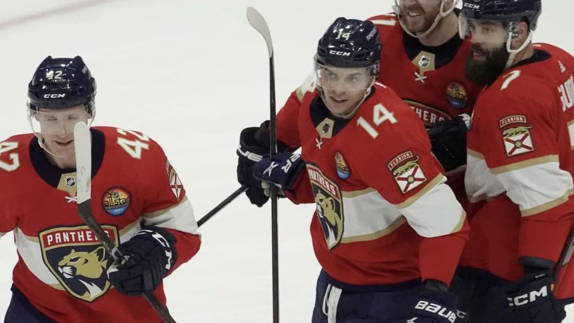Florida panthers