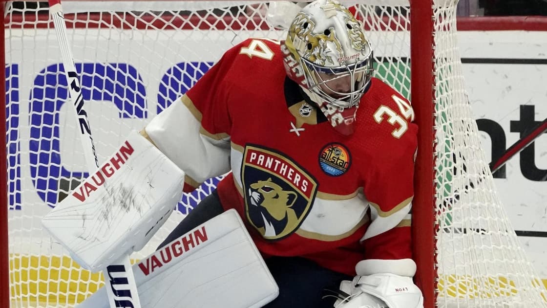 Panthers bruins