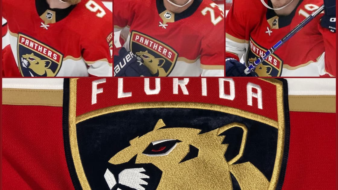 Florida panthers