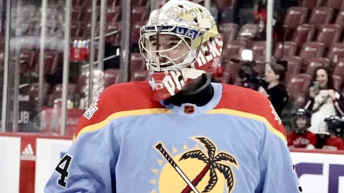 Florida panthers