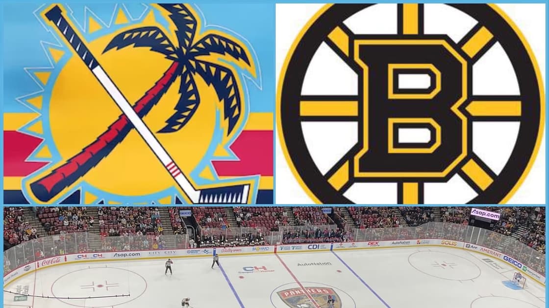 Florida Panthers Boston Bruins