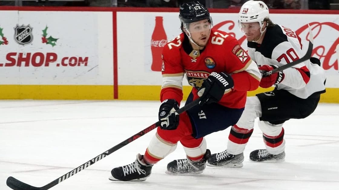 Florida panthers