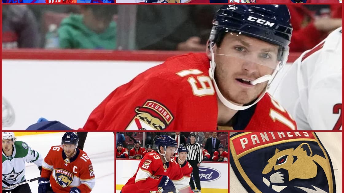 Florida panthers