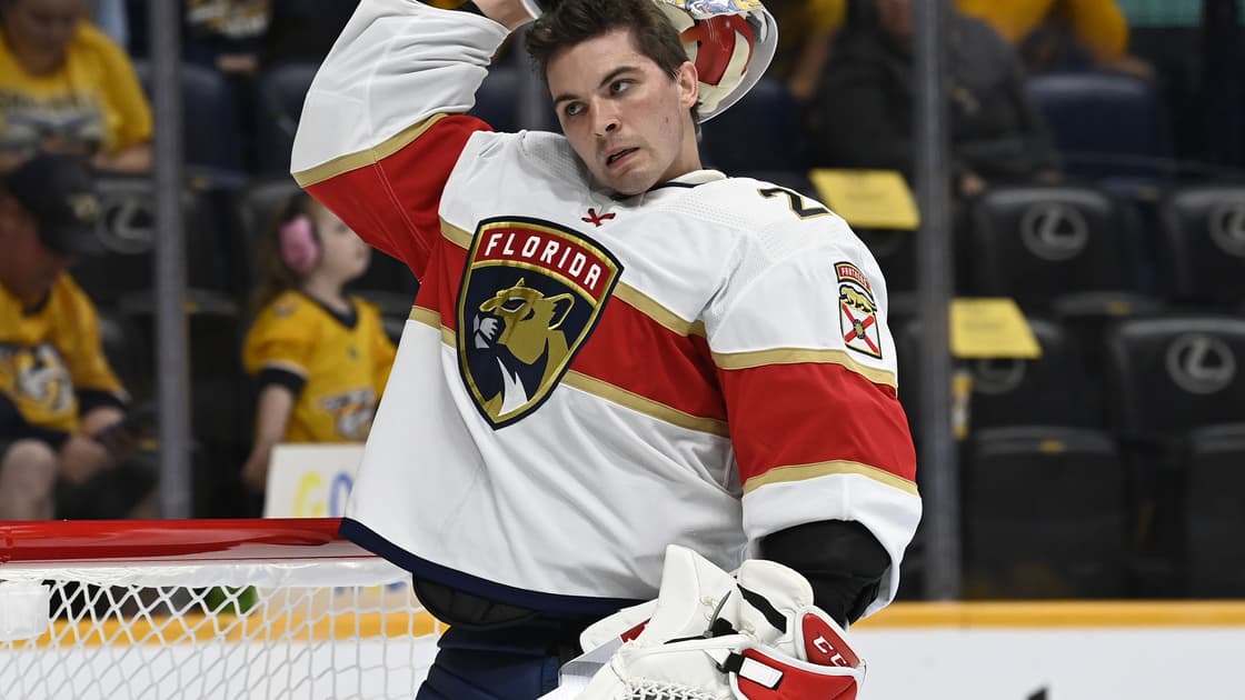 Florida panthers