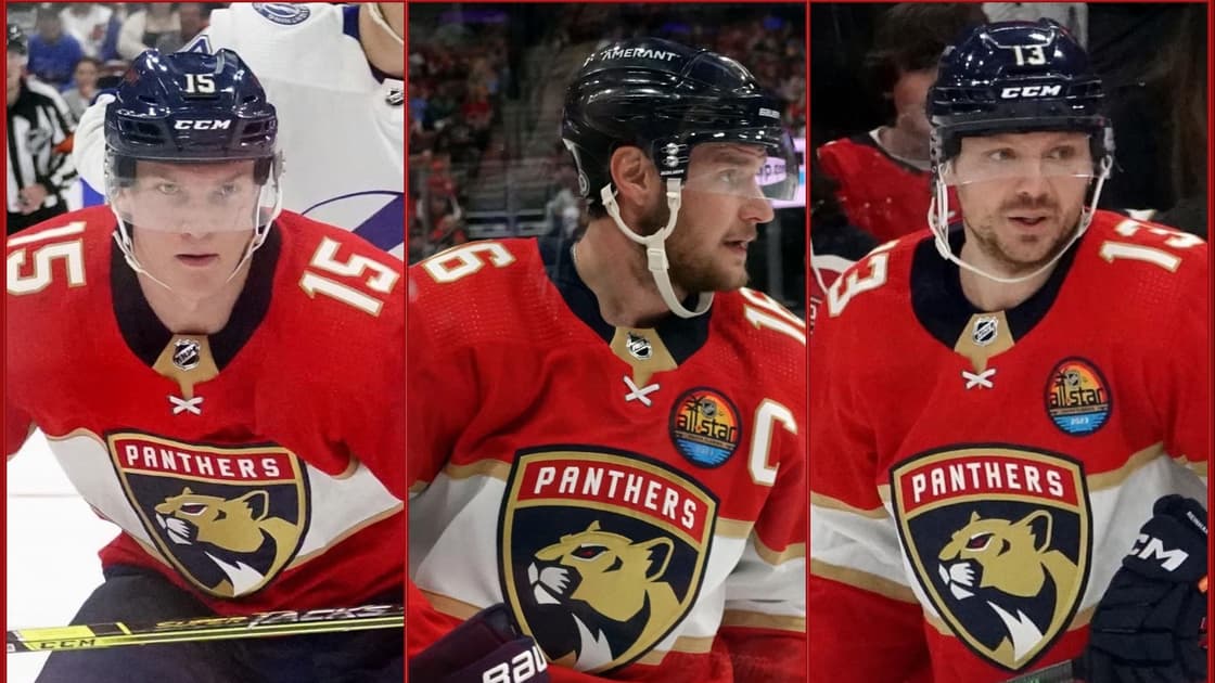 Florida panthers