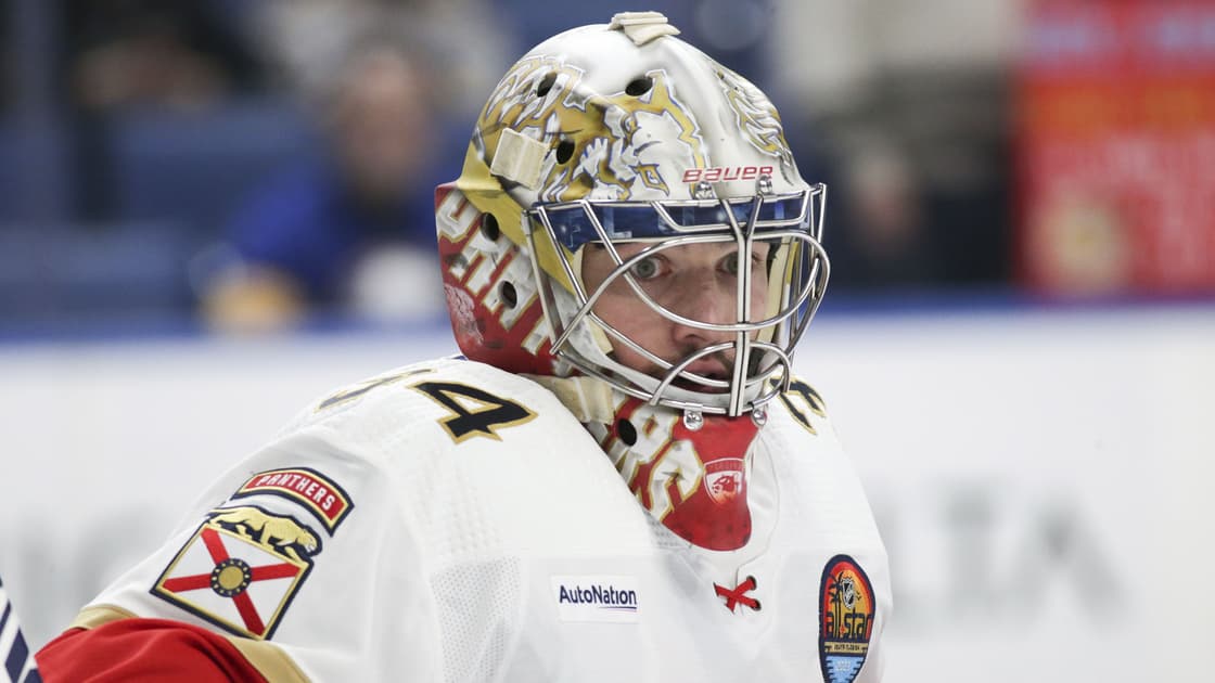 Florida panthers