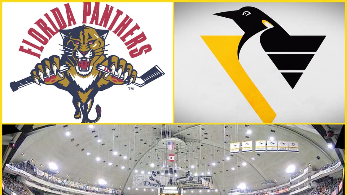Florida panthers