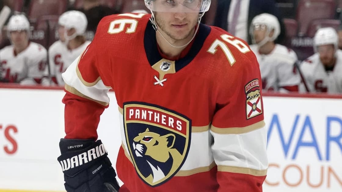 Florida panthers