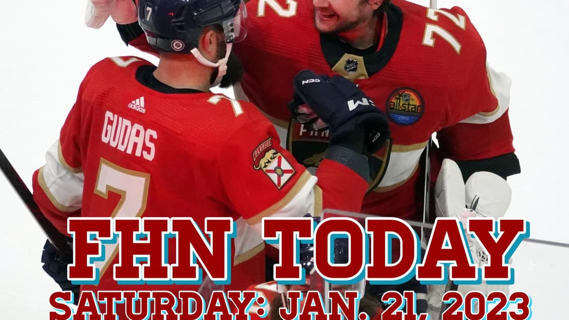 Florida panthers