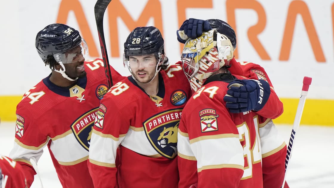Florida panthers