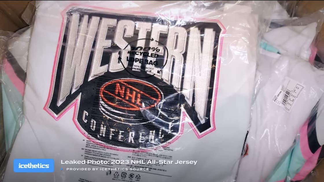 Vice nhl all-star