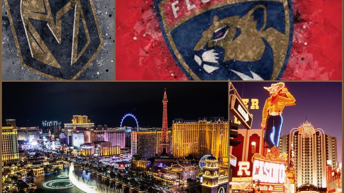 Florida panthers