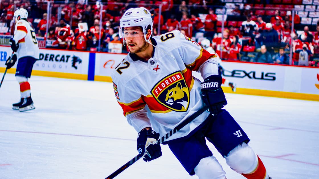 Florida panthers