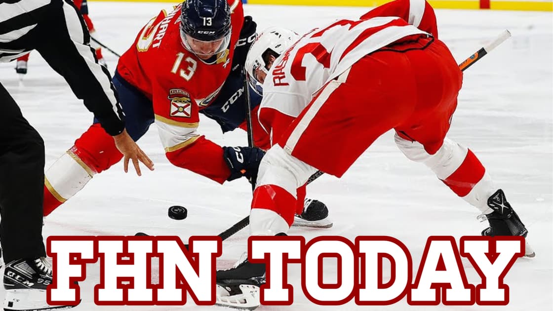 Detroit red wings