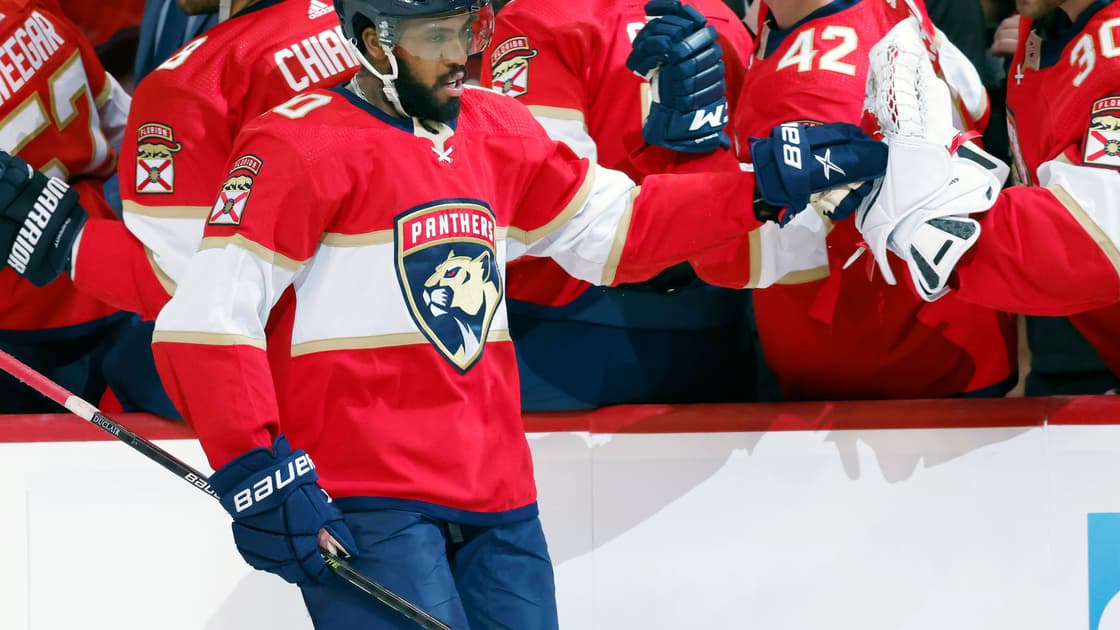Florida panthers duclair
