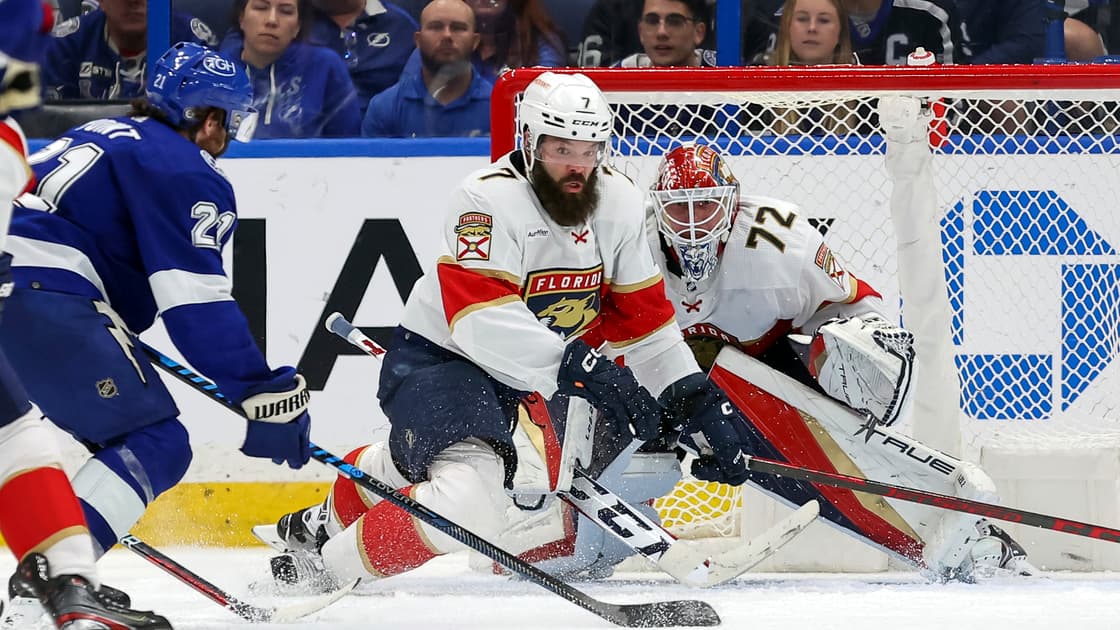 Florida panthers