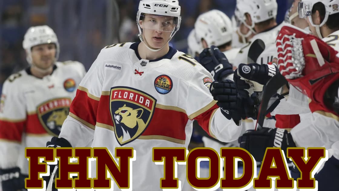 Florida panthers