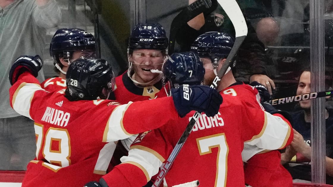 Florida panthers