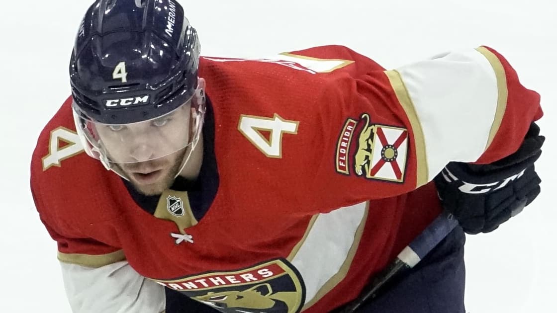 Florida panthers