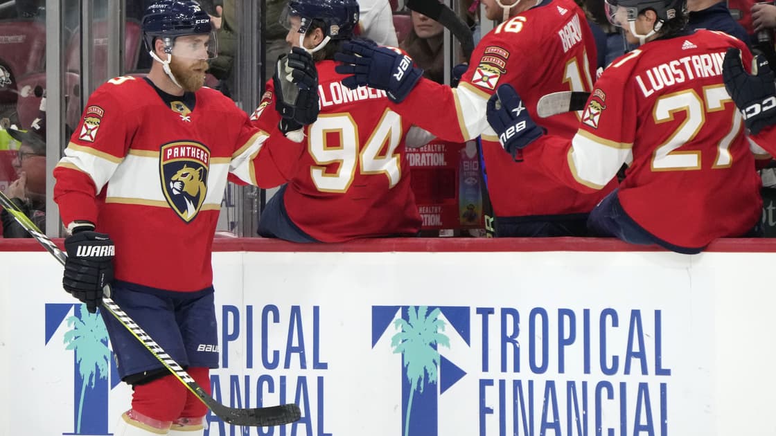 Florida panthers penguins