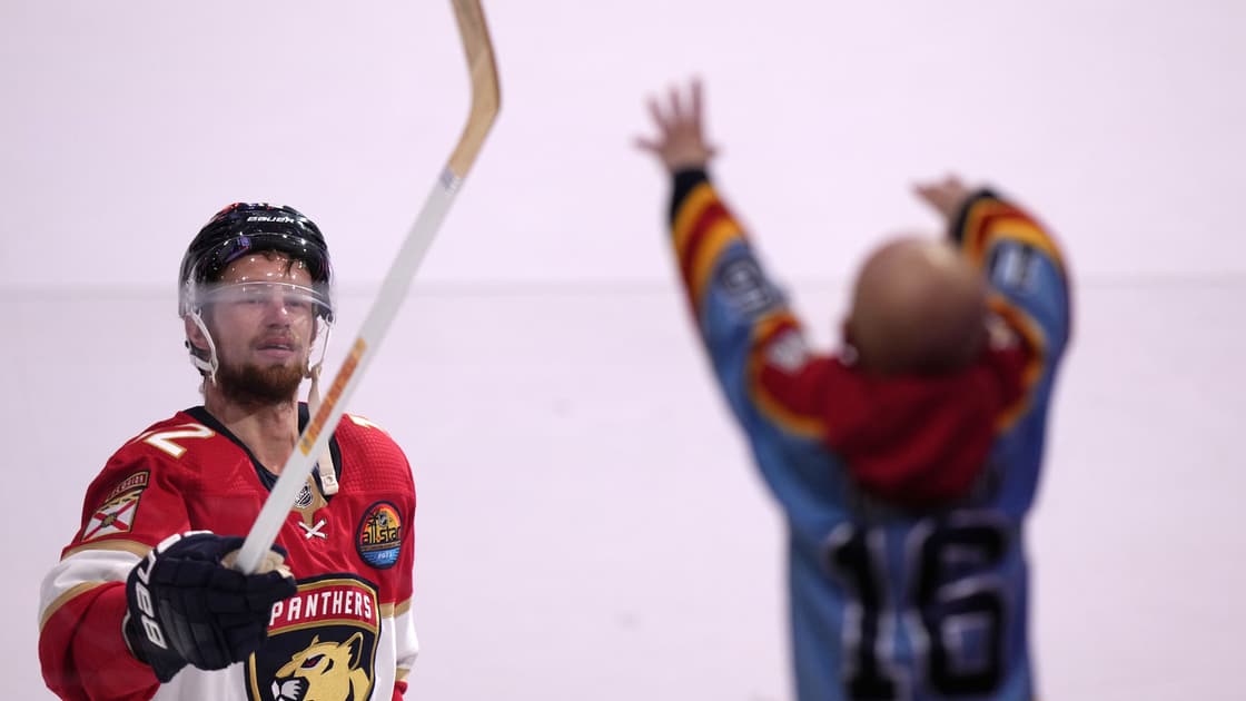 staal panthers