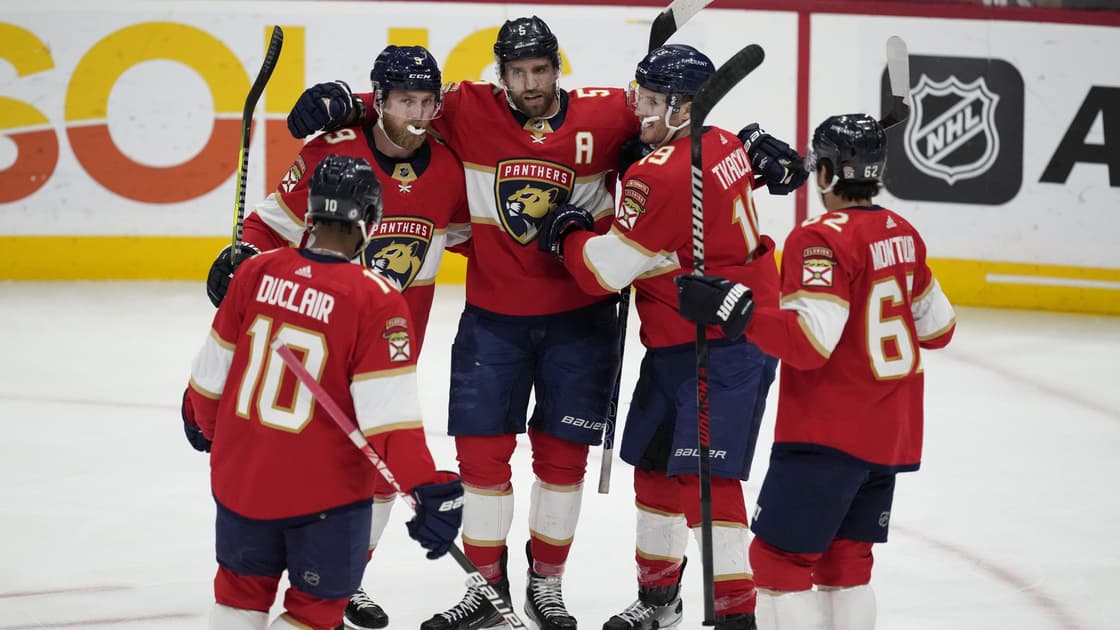 Florida panthers