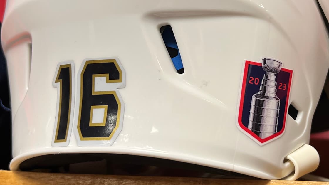 Panthers bruins