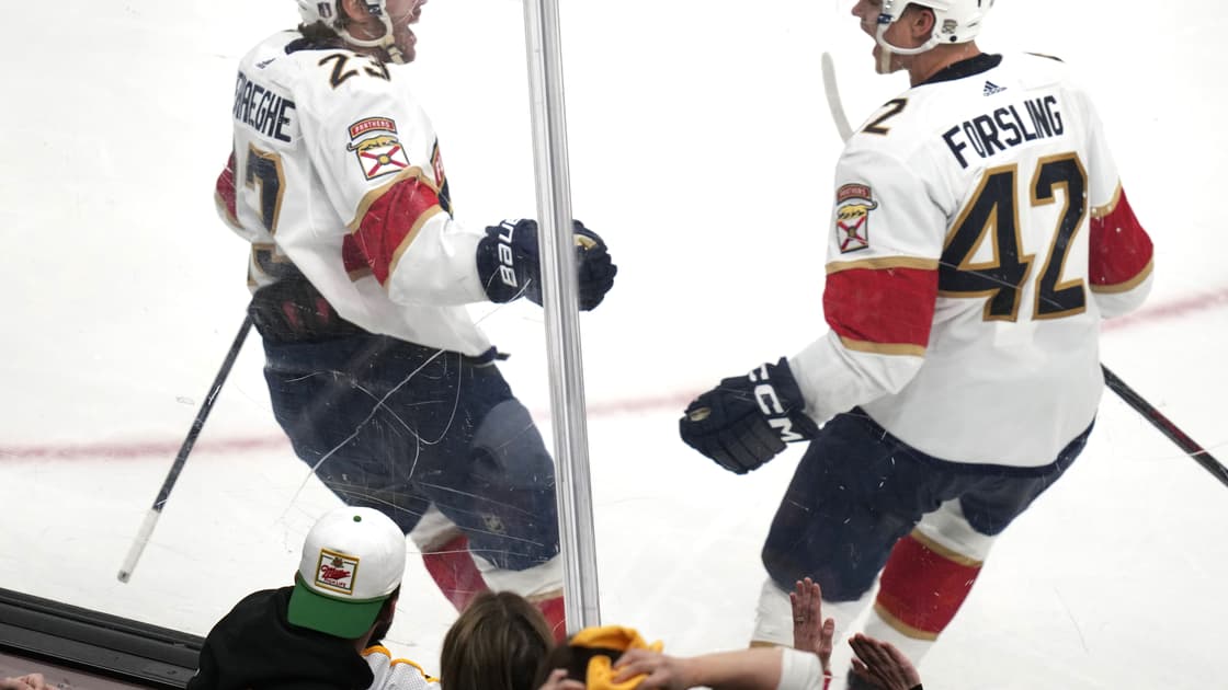 Florida panthers