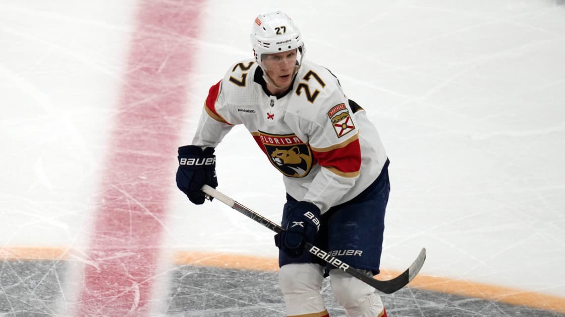 Florida panthers