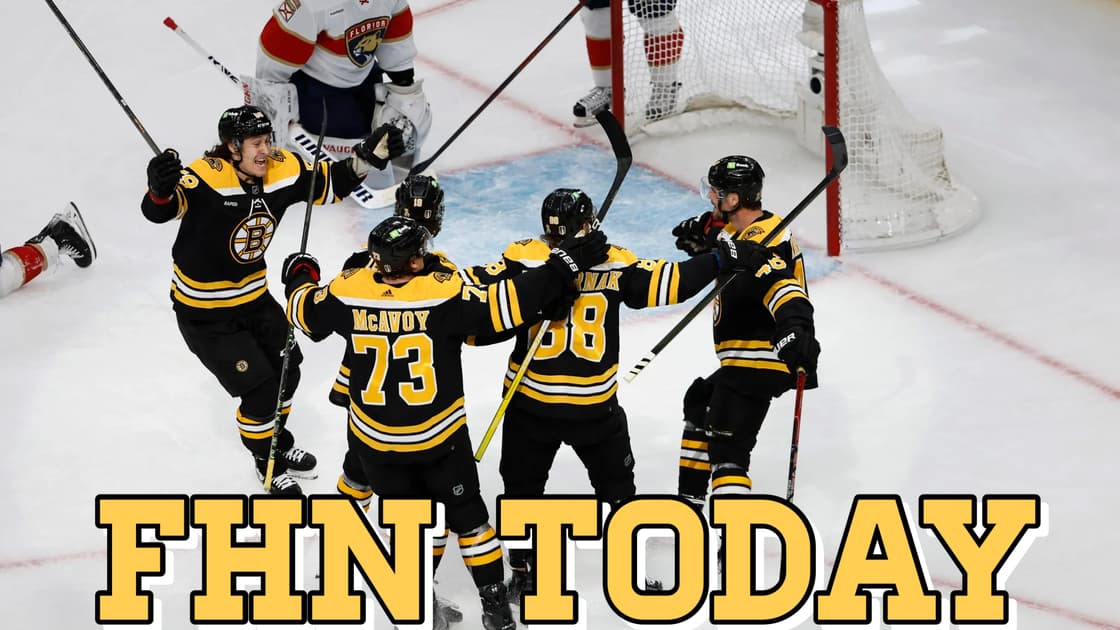 Panthers bruins