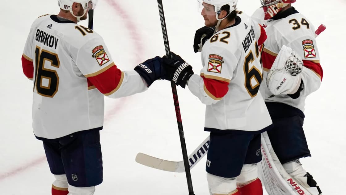 Alex lyon panthers