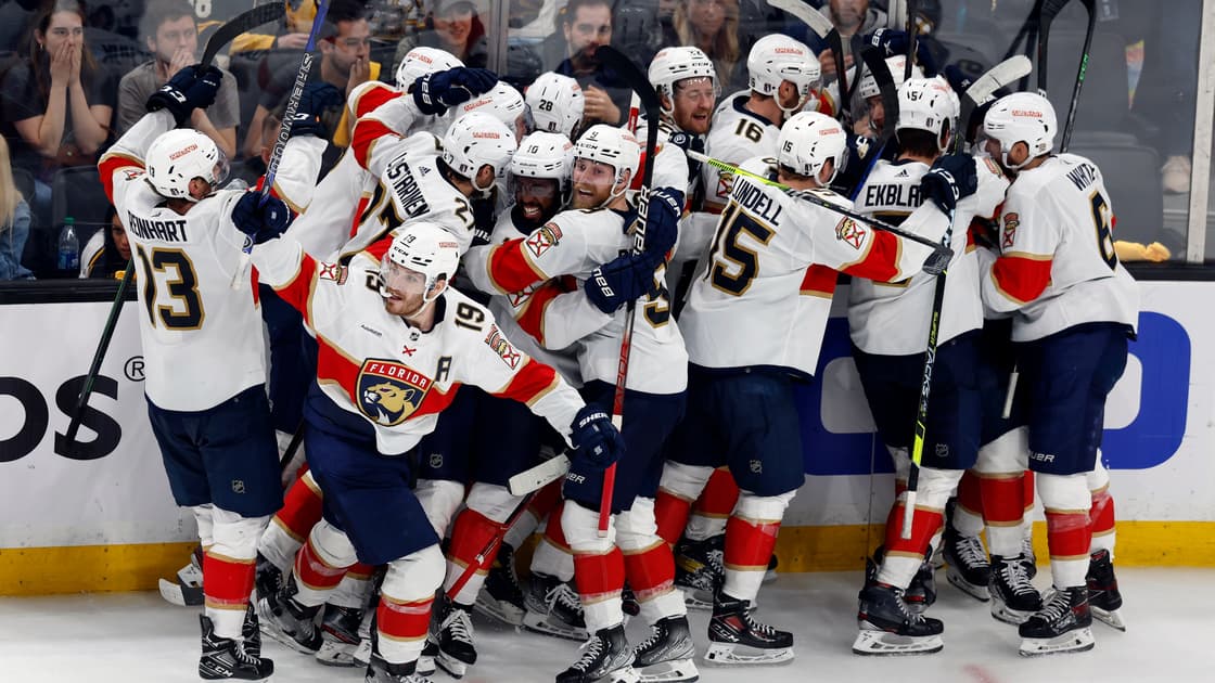 Panthers bruins