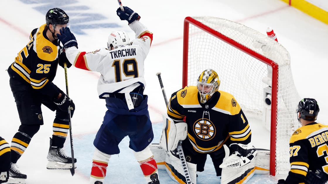 Florida panthers