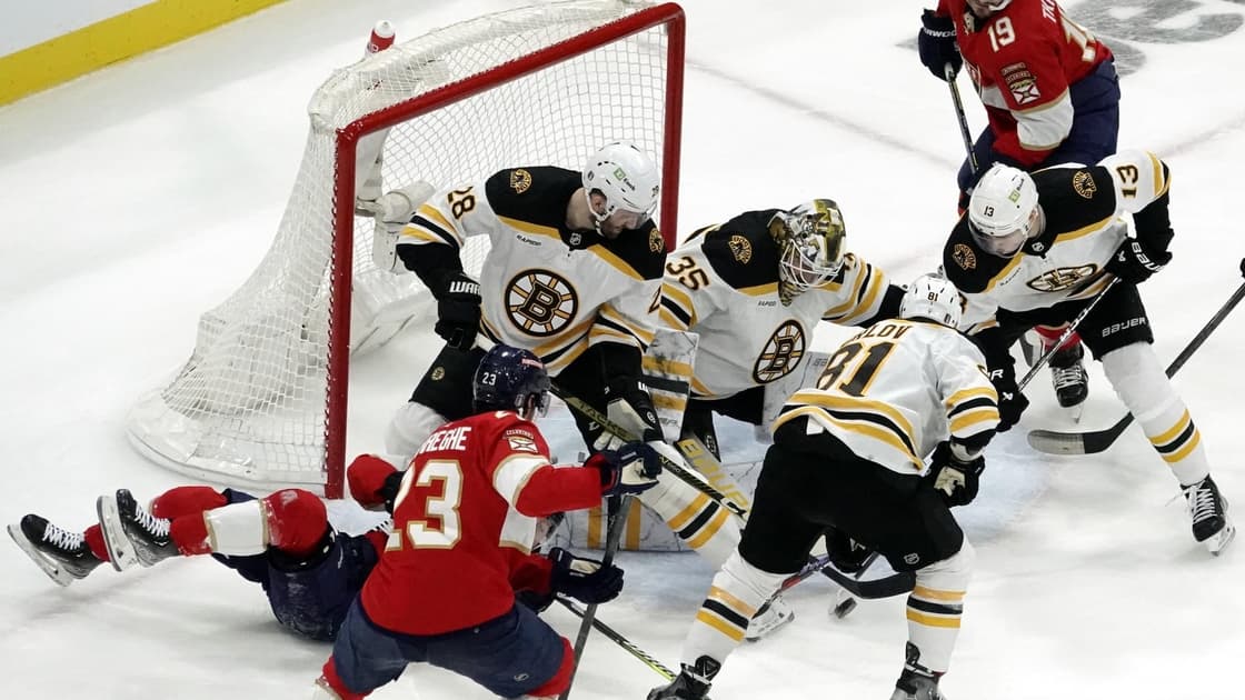 Panthers bruins