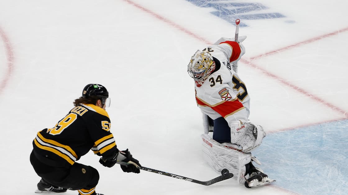 Florida panthers lyon