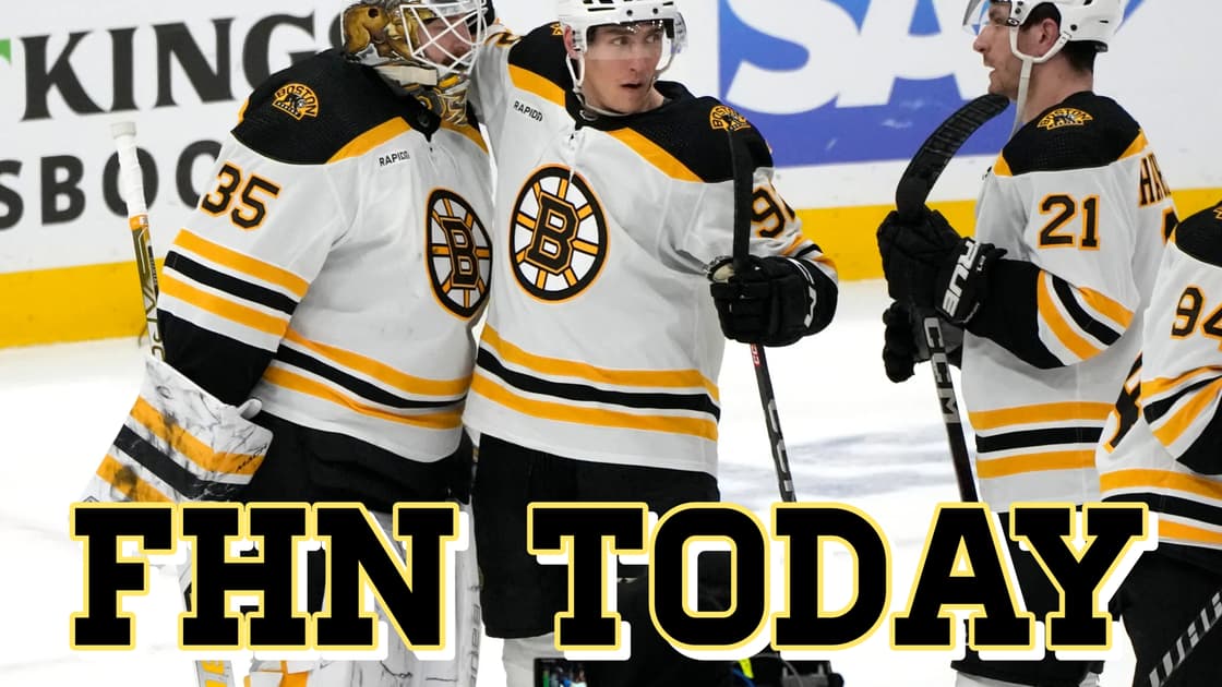 Panthers bruins