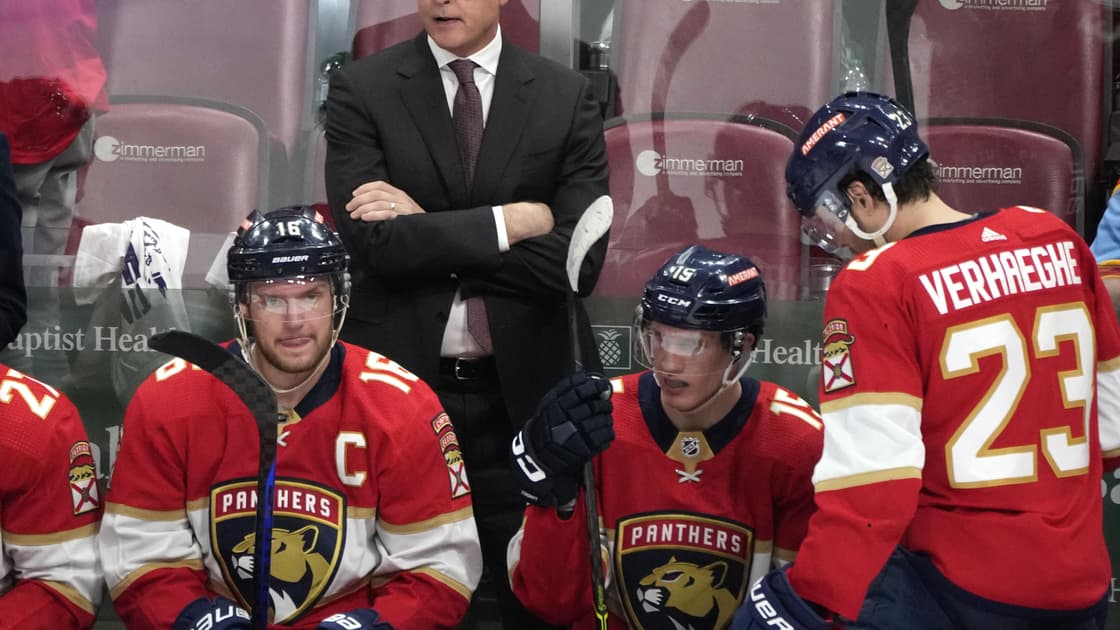 Panthers bruins