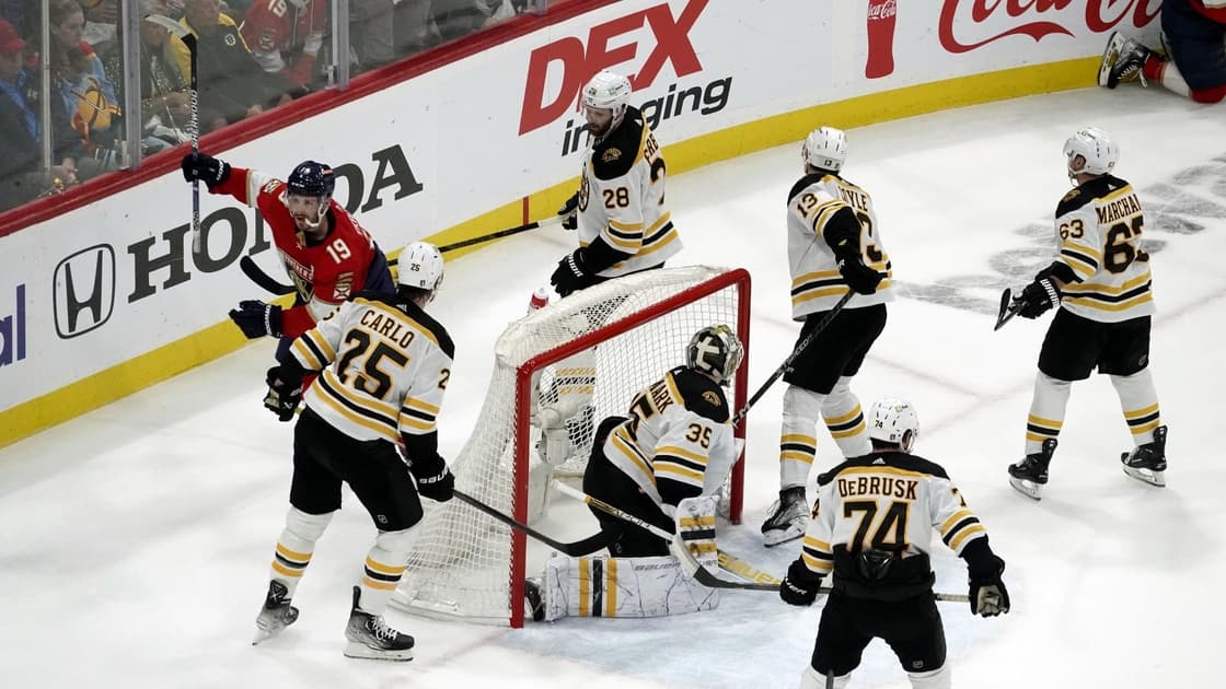 Florida panthers