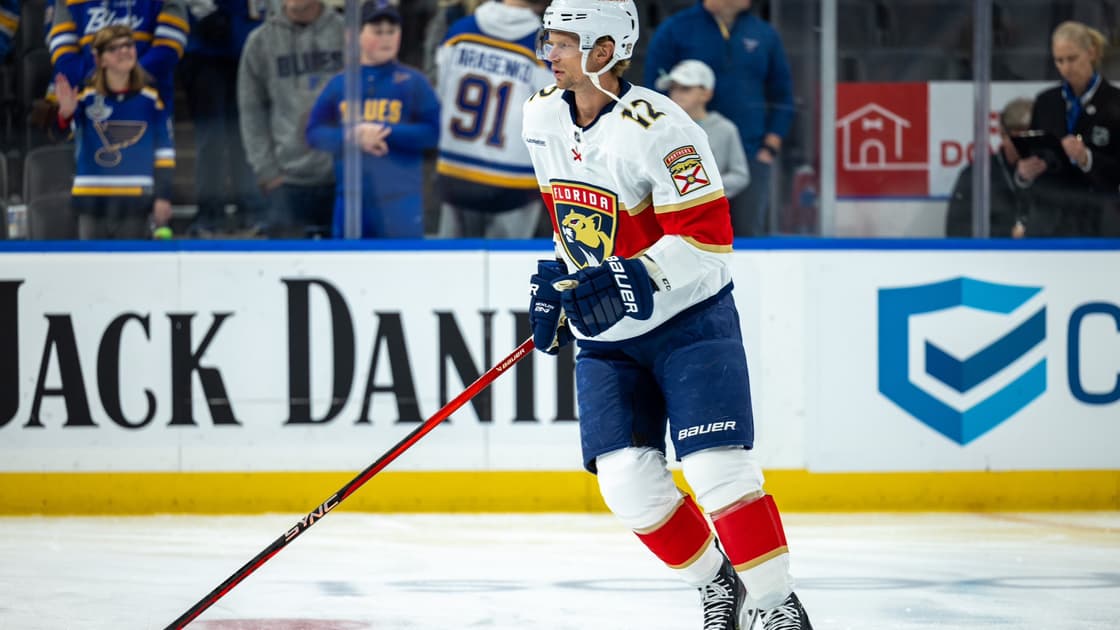 Florida panthers