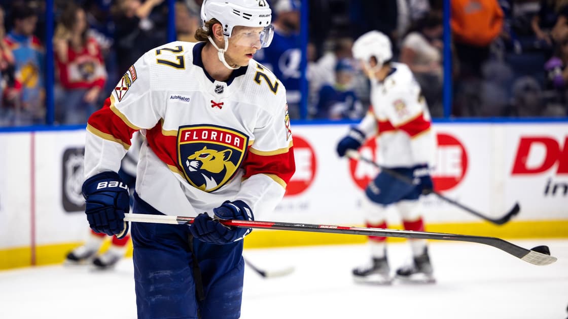 Florida panthers