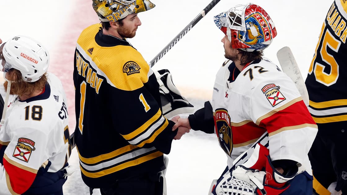 Florida panthers