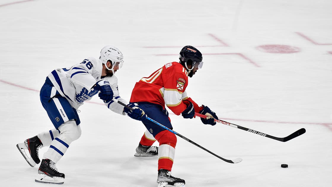 Panthers leafs