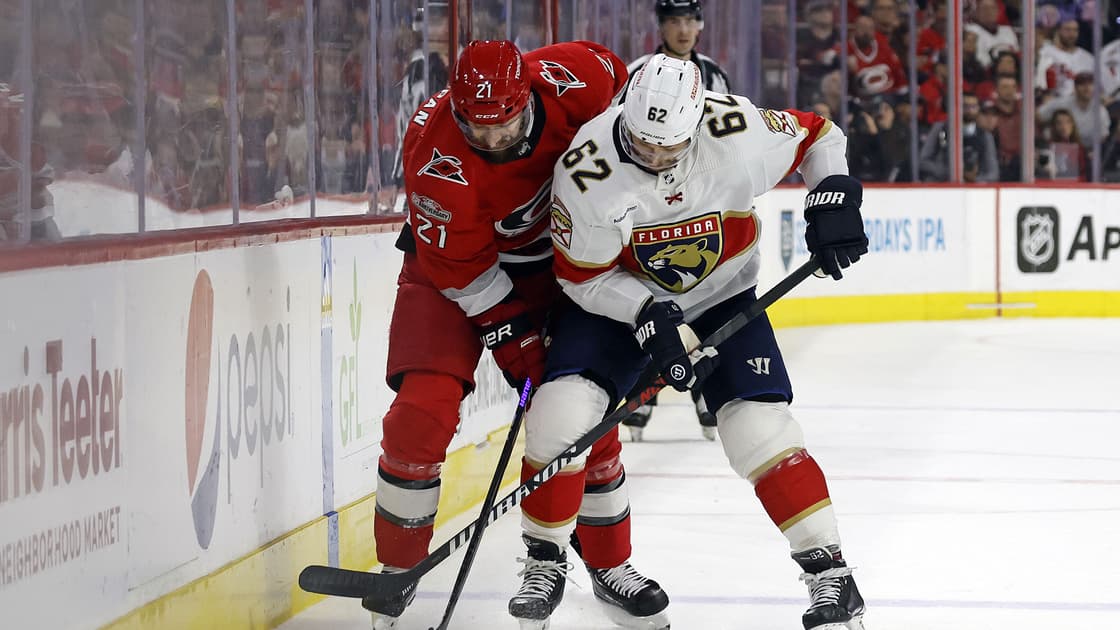 Florida panthers