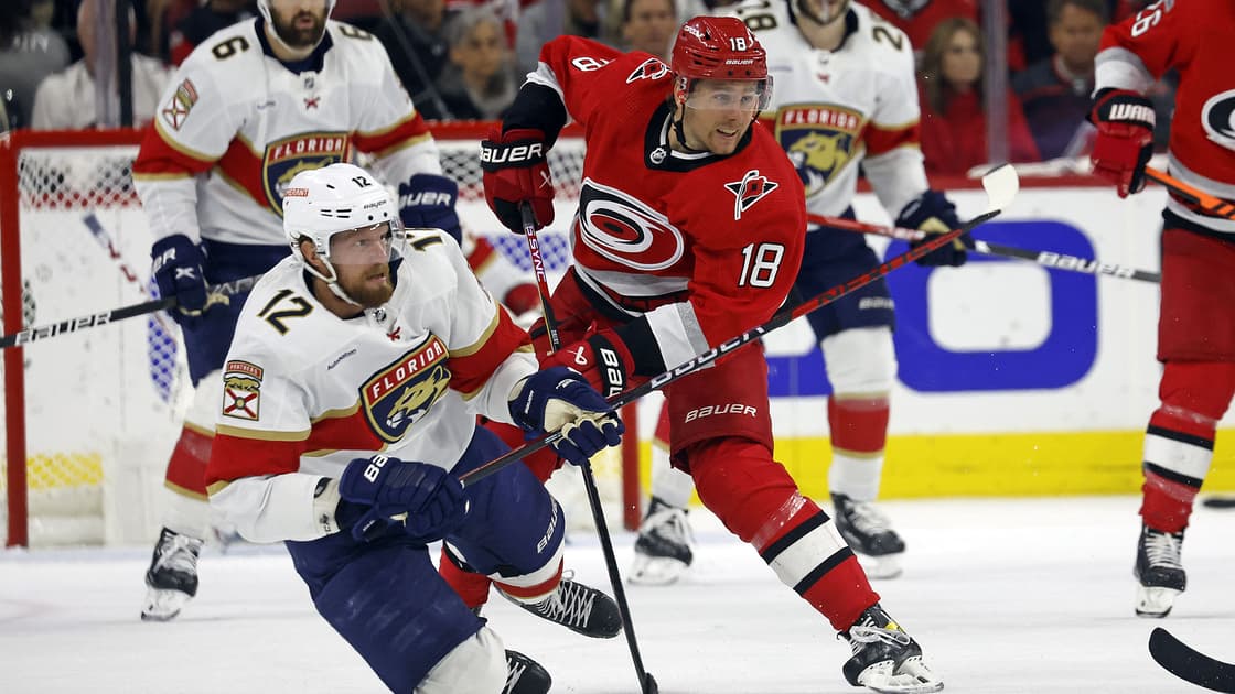 Florida panthers