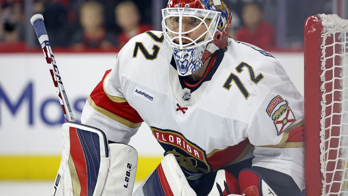 Florida panthers